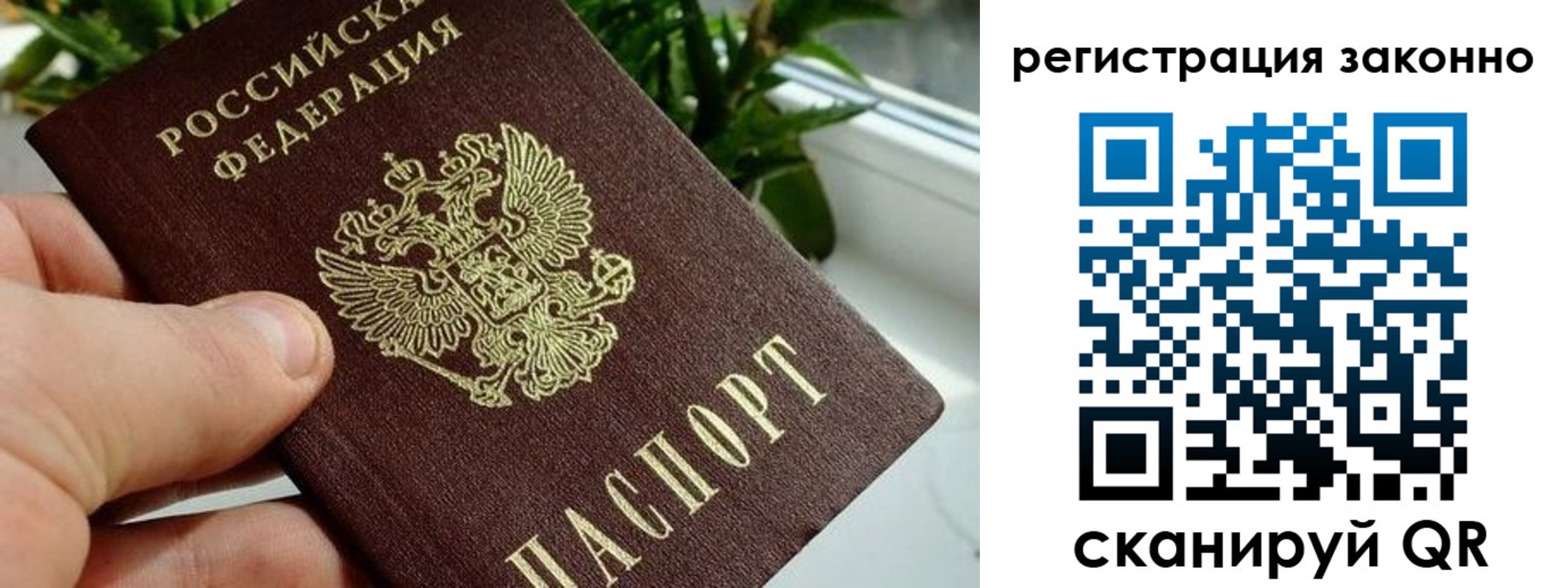 прописка гарантия в Раменском